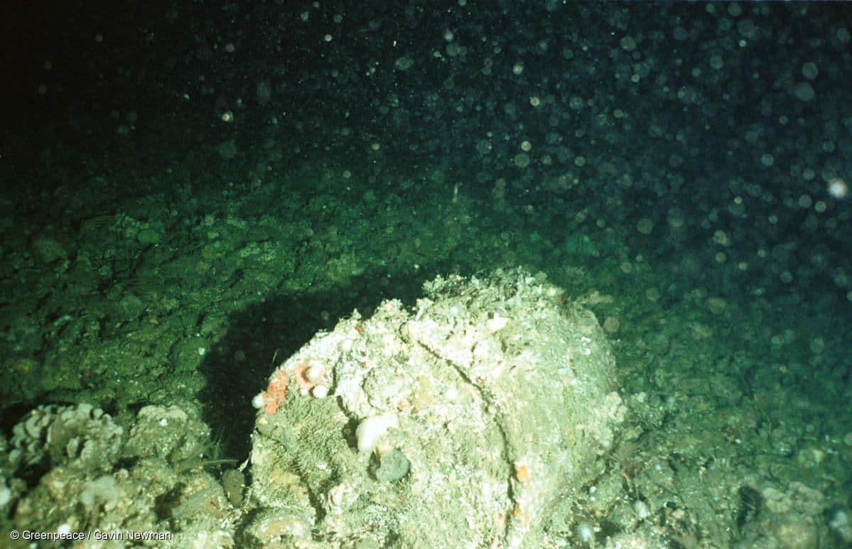 Radioactive Discharges into Atlantic Ocean.