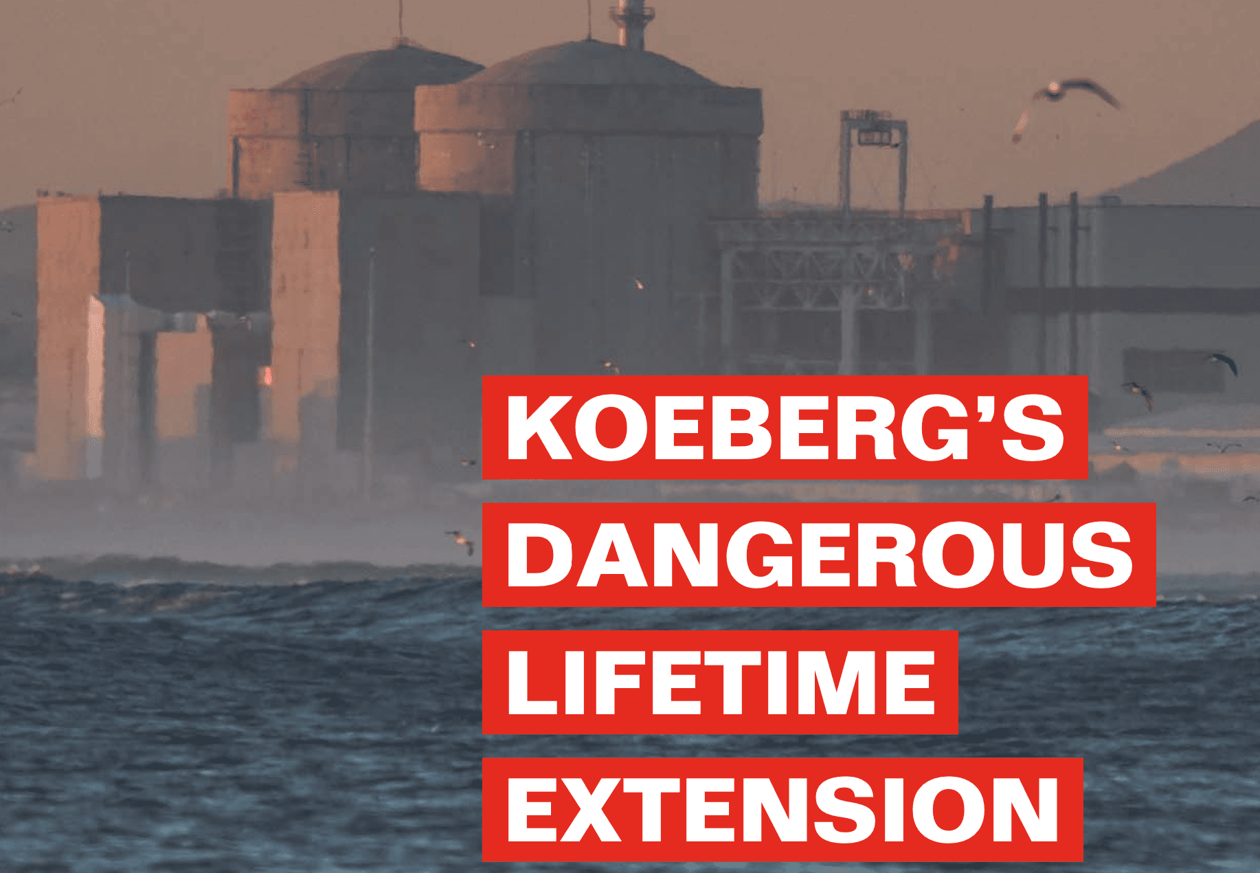 Koeberg's Dangerous Lifetime Extension.